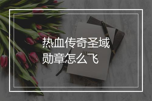 热血传奇圣域勋章怎么飞