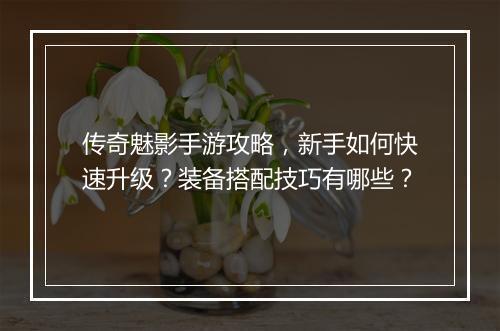 传奇魅影手游攻略，新手如何快速升级？装备搭配技巧有哪些？