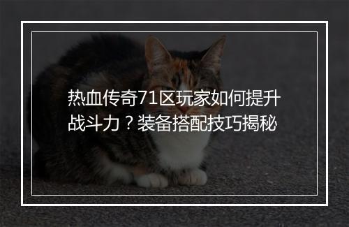 热血传奇71区玩家如何提升战斗力？装备搭配技巧揭秘