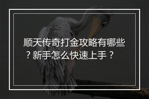 顺天传奇打金攻略有哪些？新手怎么快速上手？