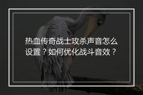 热血传奇战士攻杀声音怎么设置？如何优化战斗音效？