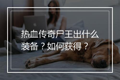 热血传奇尸王出什么装备？如何获得？