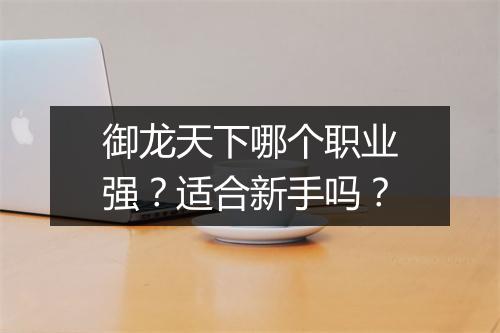 御龙天下哪个职业强？适合新手吗？