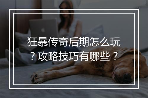 狂暴传奇后期怎么玩？攻略技巧有哪些？