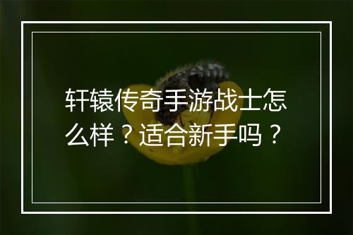 轩辕传奇手游战士怎么样？适合新手吗？