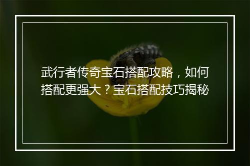 武行者传奇宝石搭配攻略，如何搭配更强大？宝石搭配技巧揭秘