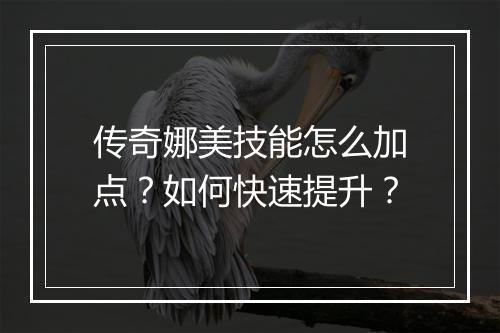 传奇娜美技能怎么加点？如何快速提升？
