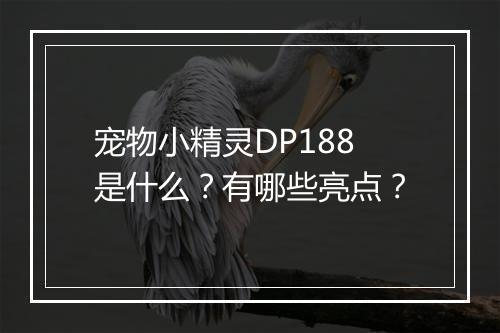 宠物小精灵DP188是什么？有哪些亮点？