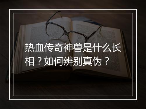 热血传奇神兽是什么长相？如何辨别真伪？