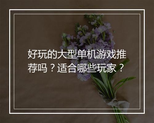 好玩的大型单机游戏推荐吗？适合哪些玩家？