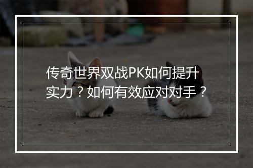 传奇世界双战PK如何提升实力？如何有效应对对手？