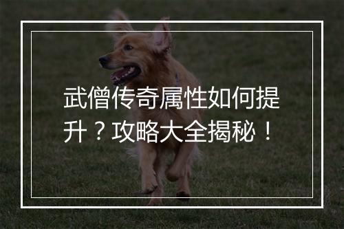 武僧传奇属性如何提升？攻略大全揭秘！