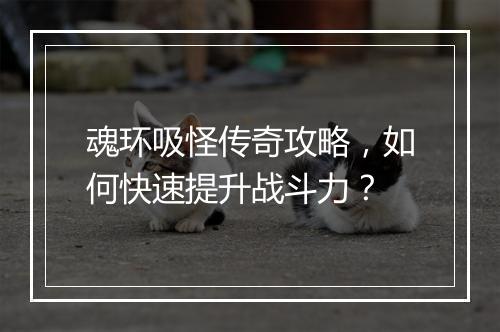 魂环吸怪传奇攻略，如何快速提升战斗力？