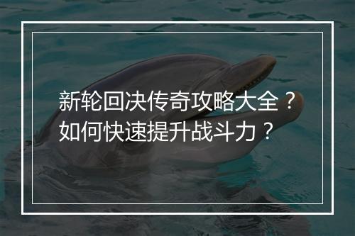 新轮回决传奇攻略大全？如何快速提升战斗力？