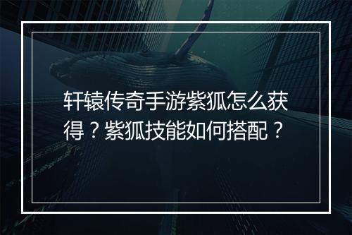 轩辕传奇手游紫狐怎么获得？紫狐技能如何搭配？