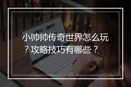小帅帅传奇世界怎么玩？攻略技巧有哪些？