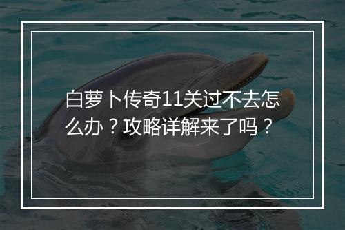 白萝卜传奇11关过不去怎么办？攻略详解来了吗？