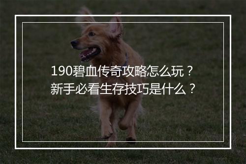 190碧血传奇攻略怎么玩？新手必看生存技巧是什么？
