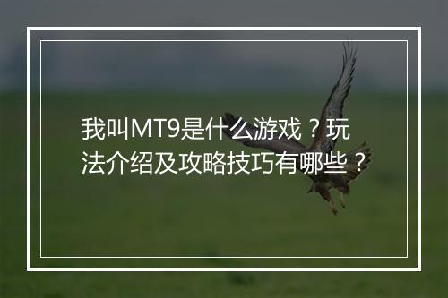 我叫MT9是什么游戏？玩法介绍及攻略技巧有哪些？