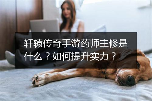 轩辕传奇手游药师主修是什么？如何提升实力？