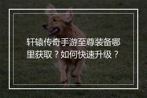 轩辕传奇手游至尊装备哪里获取？如何快速升级？