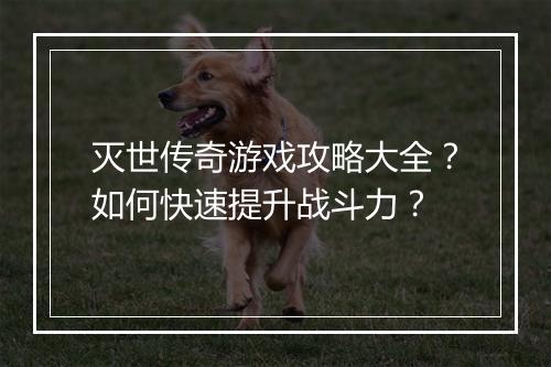 灭世传奇游戏攻略大全？如何快速提升战斗力？
