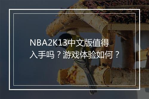 NBA2K13中文版值得入手吗？游戏体验如何？