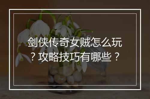剑侠传奇女贼怎么玩？攻略技巧有哪些？