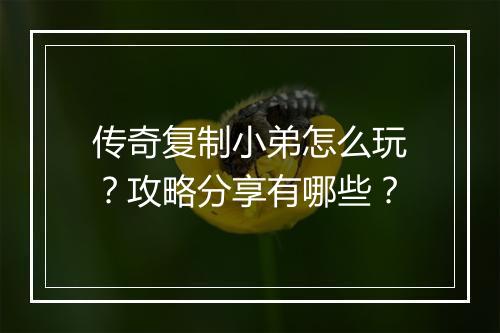 传奇复制小弟怎么玩？攻略分享有哪些？