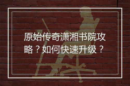 原始传奇潇湘书院攻略？如何快速升级？