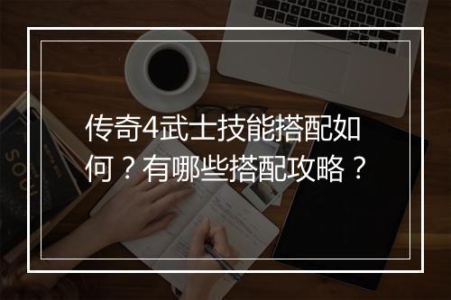 传奇4武士技能搭配如何？有哪些搭配攻略？