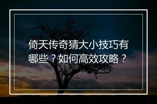 倚天传奇猜大小技巧有哪些？如何高效攻略？