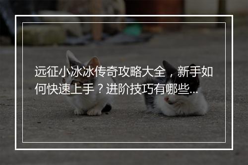 远征小冰冰传奇攻略大全，新手如何快速上手？进阶技巧有哪些？