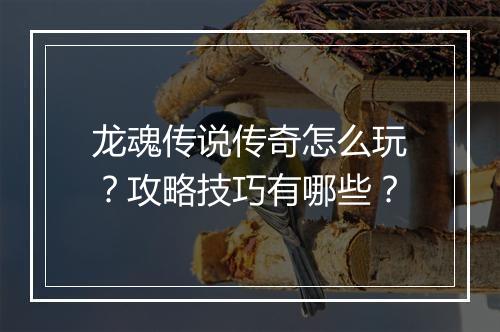 龙魂传说传奇怎么玩？攻略技巧有哪些？