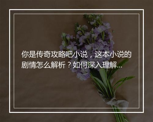 你是传奇攻略吧小说，这本小说的剧情怎么解析？如何深入理解？