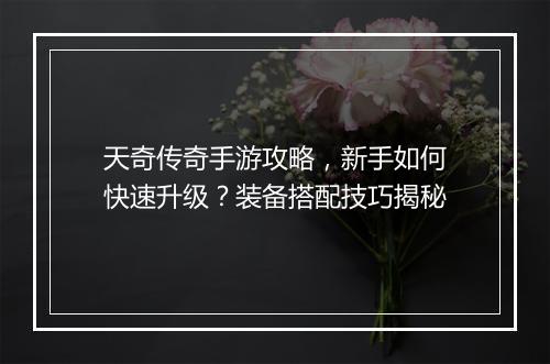 天奇传奇手游攻略，新手如何快速升级？装备搭配技巧揭秘
