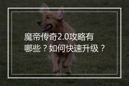 魔帝传奇2.0攻略有哪些？如何快速升级？