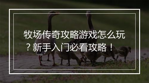 牧场传奇攻略游戏怎么玩？新手入门必看攻略！