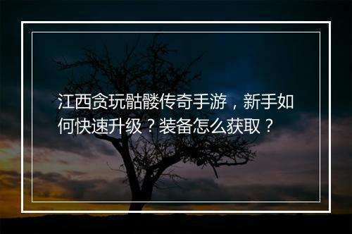 江西贪玩骷髅传奇手游，新手如何快速升级？装备怎么获取？