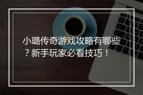 小璐传奇游戏攻略有哪些？新手玩家必看技巧！