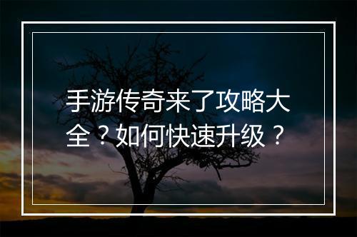 手游传奇来了攻略大全？如何快速升级？
