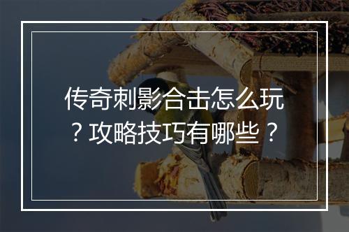 传奇刺影合击怎么玩？攻略技巧有哪些？