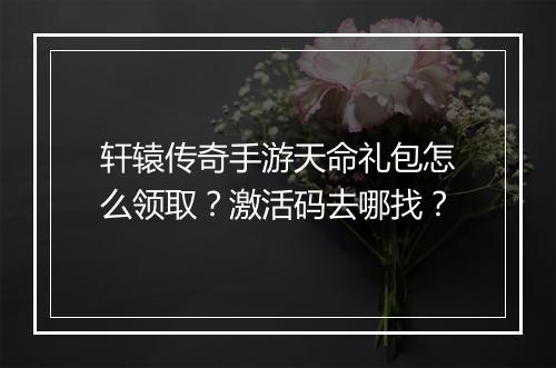 轩辕传奇手游天命礼包怎么领取？激活码去哪找？