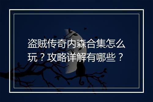 盗贼传奇内森合集怎么玩？攻略详解有哪些？