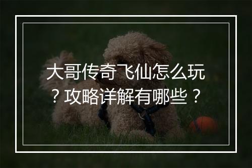 大哥传奇飞仙怎么玩？攻略详解有哪些？