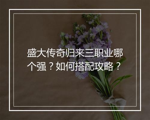 盛大传奇归来三职业哪个强？如何搭配攻略？