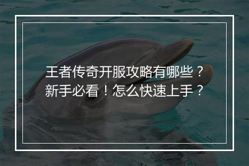王者传奇开服攻略有哪些？新手必看！怎么快速上手？