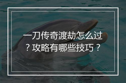 一刀传奇渡劫怎么过？攻略有哪些技巧？