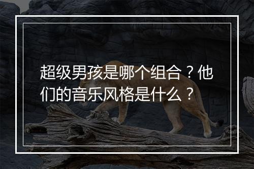 超级男孩是哪个组合？他们的音乐风格是什么？