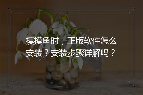 摸摸鱼时，正版软件怎么安装？安装步骤详解吗？